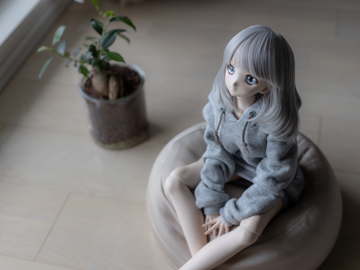 ドールおじさん家を買う（かもしれない）